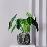 18cm Self-watering POTR Pot | Slate Grey