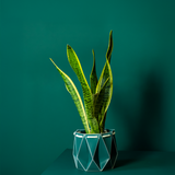 18cm Self-watering POTR Pot | Dark Teal