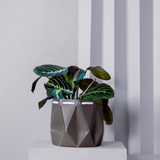 15cm Self-watering POTR Pot | Slate Grey