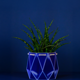 18cm Self-watering POTR Pot | Navy