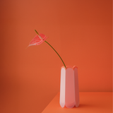 POTR Letterbox Vase | Coral