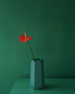 POTR Letterbox Vase in Pine green with a single red anthurium flower against a dark green background.