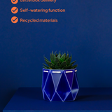 11cm Self-watering POTR Pot | Navy