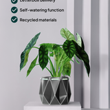 18cm Self-watering POTR Pot | Slate Grey