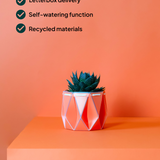 11cm Self-watering POTR Pot | Coral