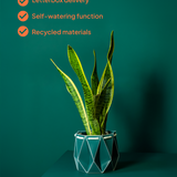 18cm Self-watering POTR Pot | Dark Teal