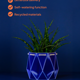 18cm Self-watering POTR Pot | Navy