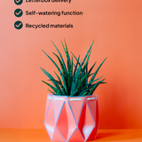 18cm Self-watering POTR Pot | Coral