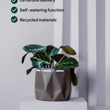 15cm Self-watering POTR Pot | Slate Grey