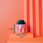 A coral-colored POTR pot with a succulent inside sits on orange geometric blocks. The pot is labeled with dimensions showing 11 cm in height and diameter, illustrating its compact, symmetrical design.