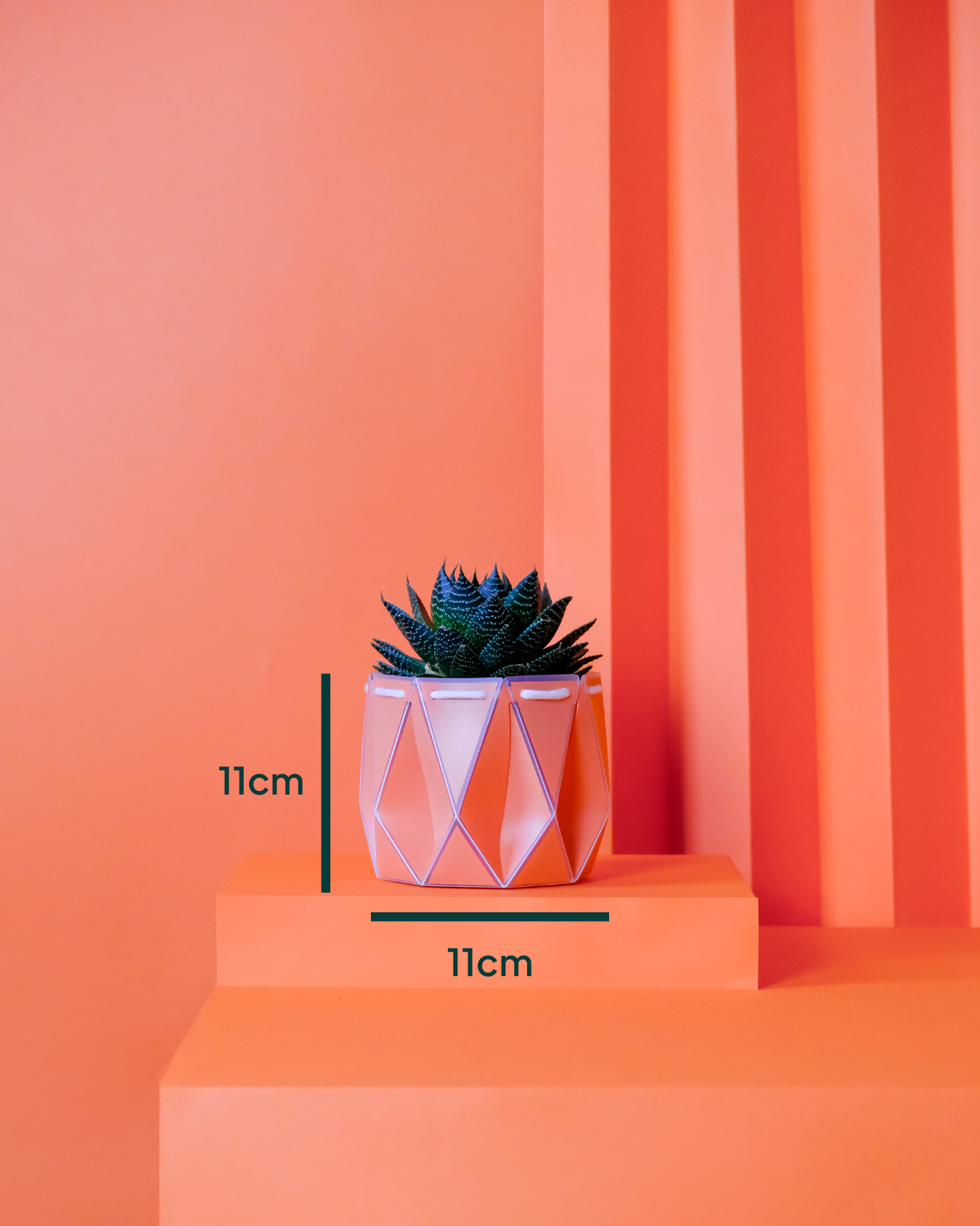 A coral-colored POTR pot with a succulent inside sits on orange geometric blocks. The pot is labeled with dimensions showing 11 cm in height and diameter, illustrating its compact, symmetrical design.