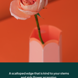 POTR Letterbox Vase | Coral