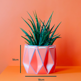 18cm Self-watering POTR Pot | Coral