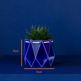 11cm Self-watering POTR Pot | Navy