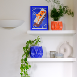 Two minimalist white shelves mounted on a white wall, holding colorful origami-style POTR self-watering plant pots. The top shelf displays a coral POTR pot with an airy green plant and a framed illustration of a sunbather. The bottom shelf features a blue POTR pot with trailing ivy, accompanied by ceramics and a white sculptural vase.