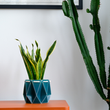 18cm Self-watering POTR Pot | Dark Teal