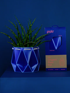 Blue pot containing a plant and having its packaging on the right, placed on a blue background