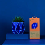 Blue pot with a succulent inside and its packaging on the right placed on a blue background
