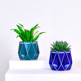 two pots with plants inside, one green and one blue placed on a light background