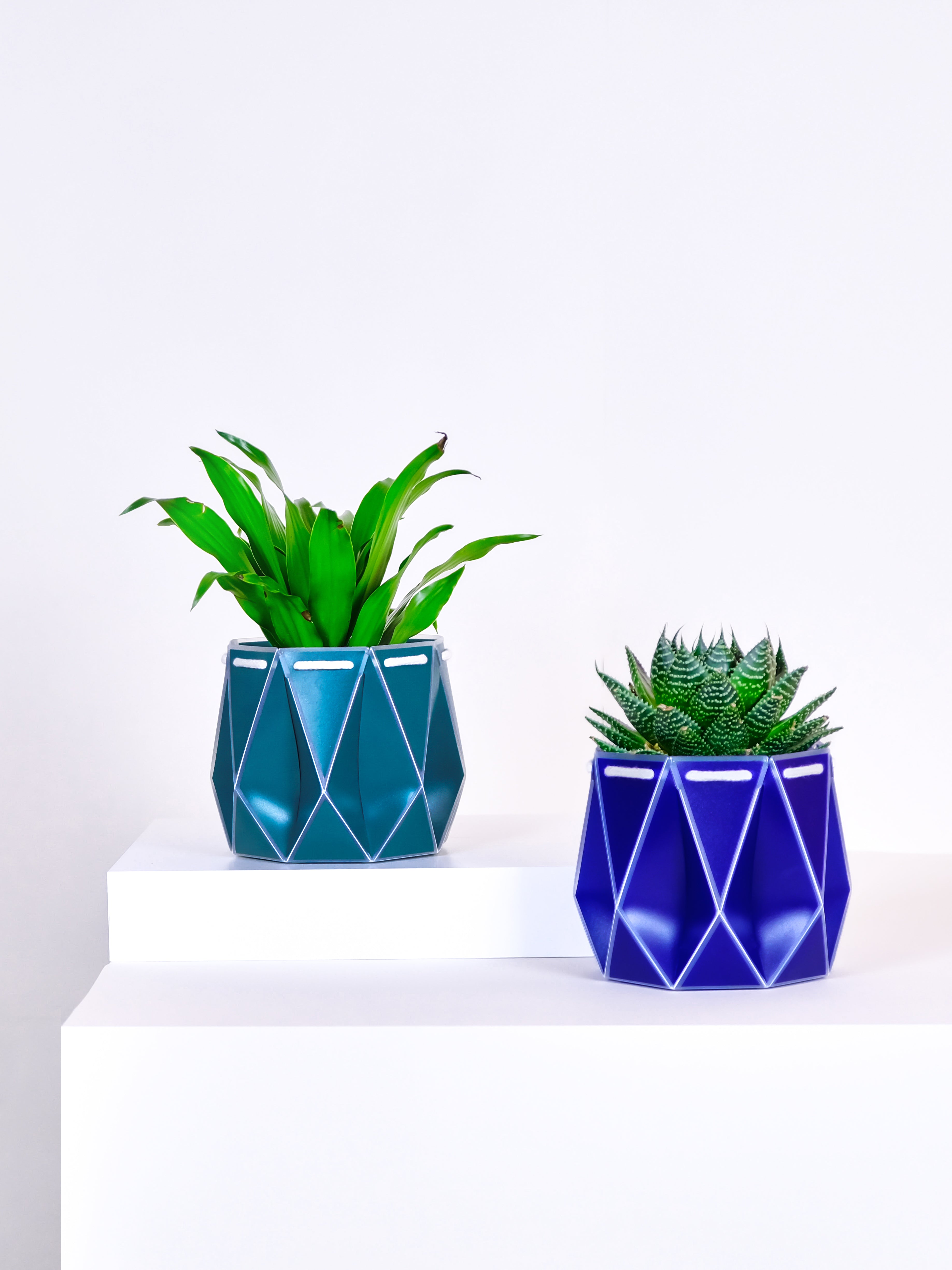 two pots with plants inside, one green and one blue placed on a light background