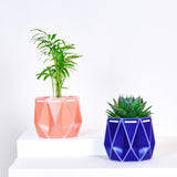 two pots with plants inside, one orange and one blue placed on a light background