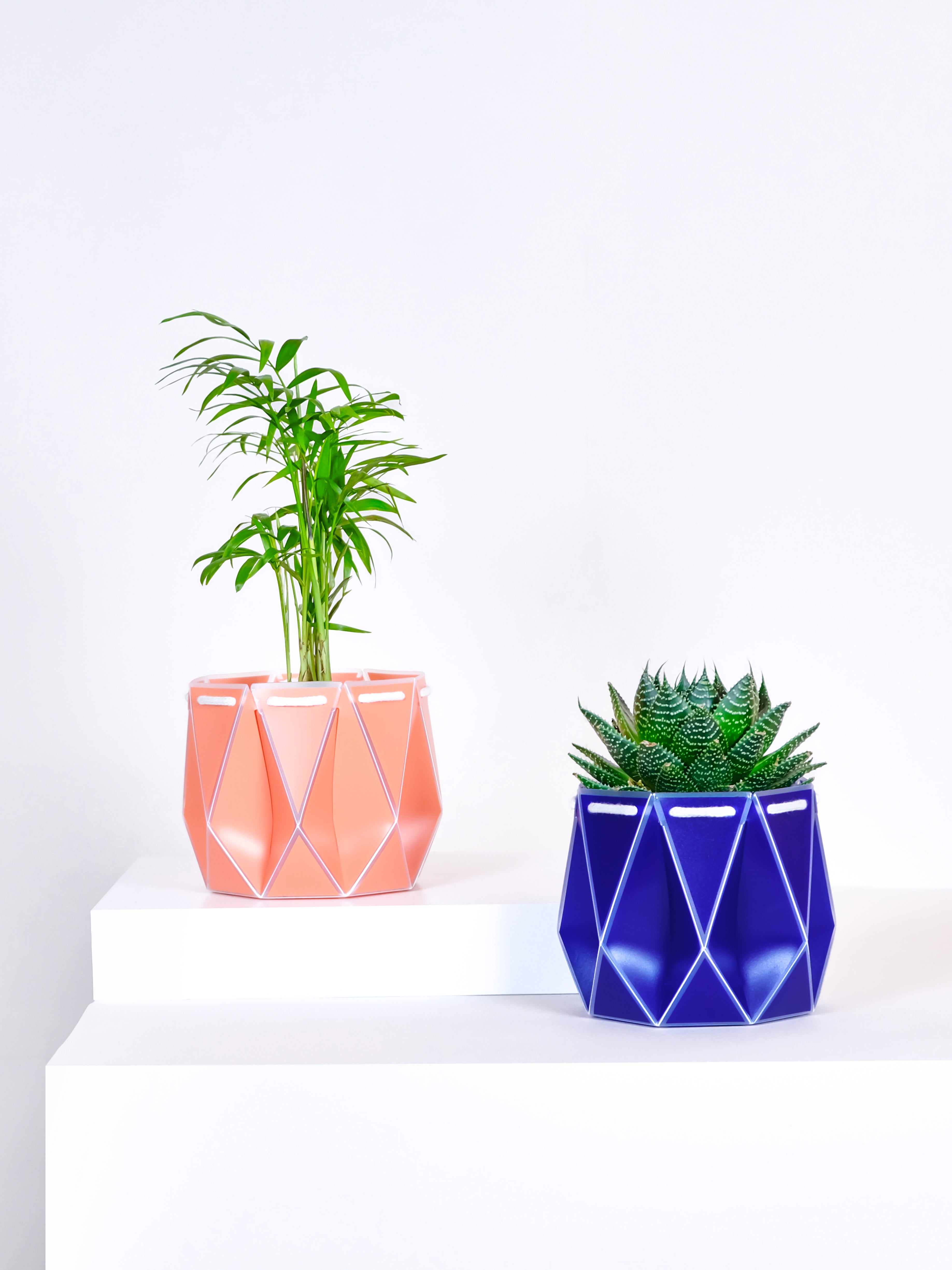 two pots with plants inside, one orange and one blue placed on a light background