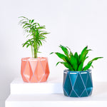 two pots with plants inside, one orange and one green placed on a light background