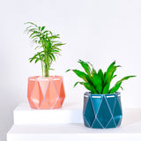 two pots with plants inside, one orange and one green placed on a light background