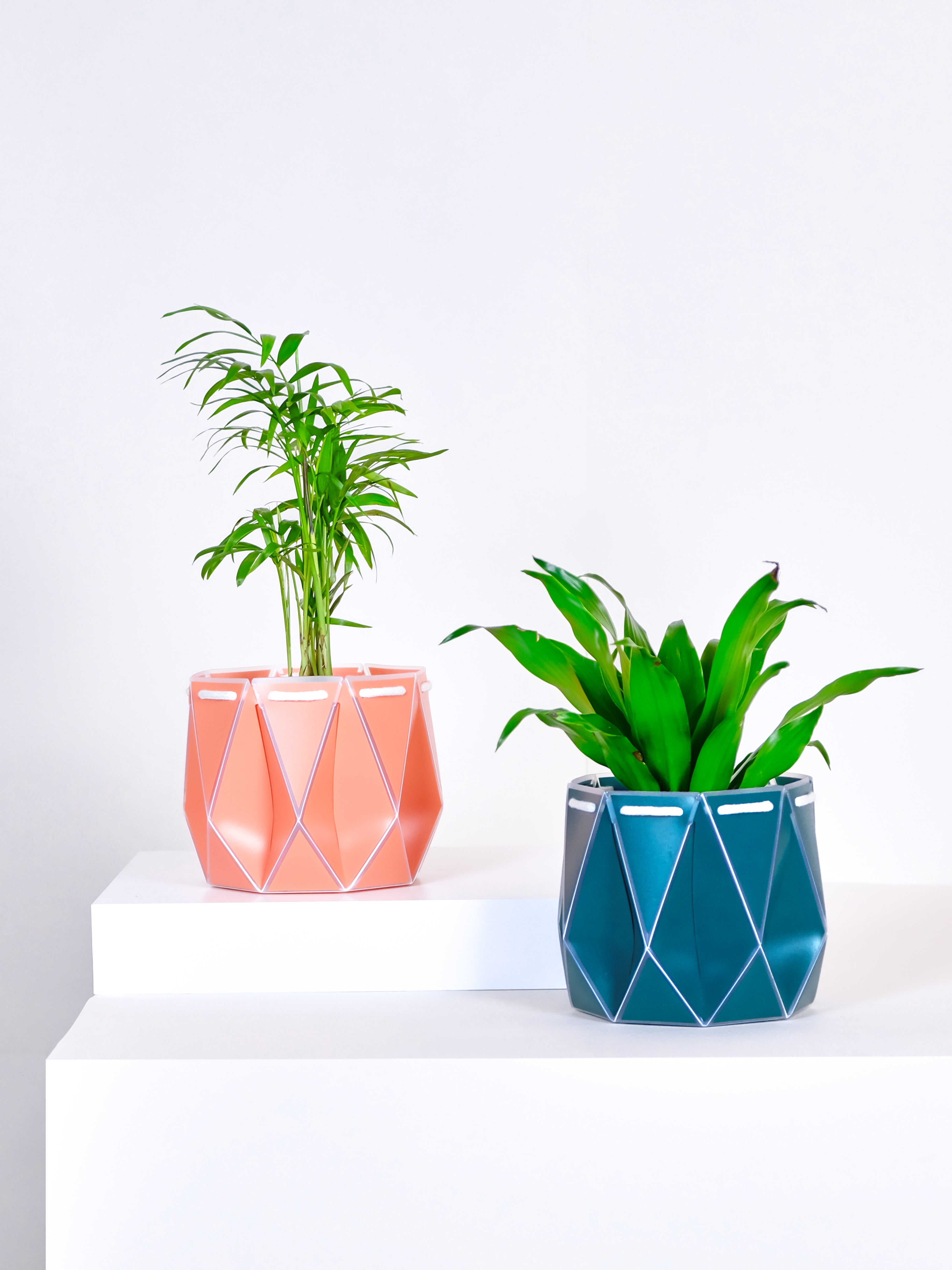 two pots with plants inside, one orange and one green placed on a light background