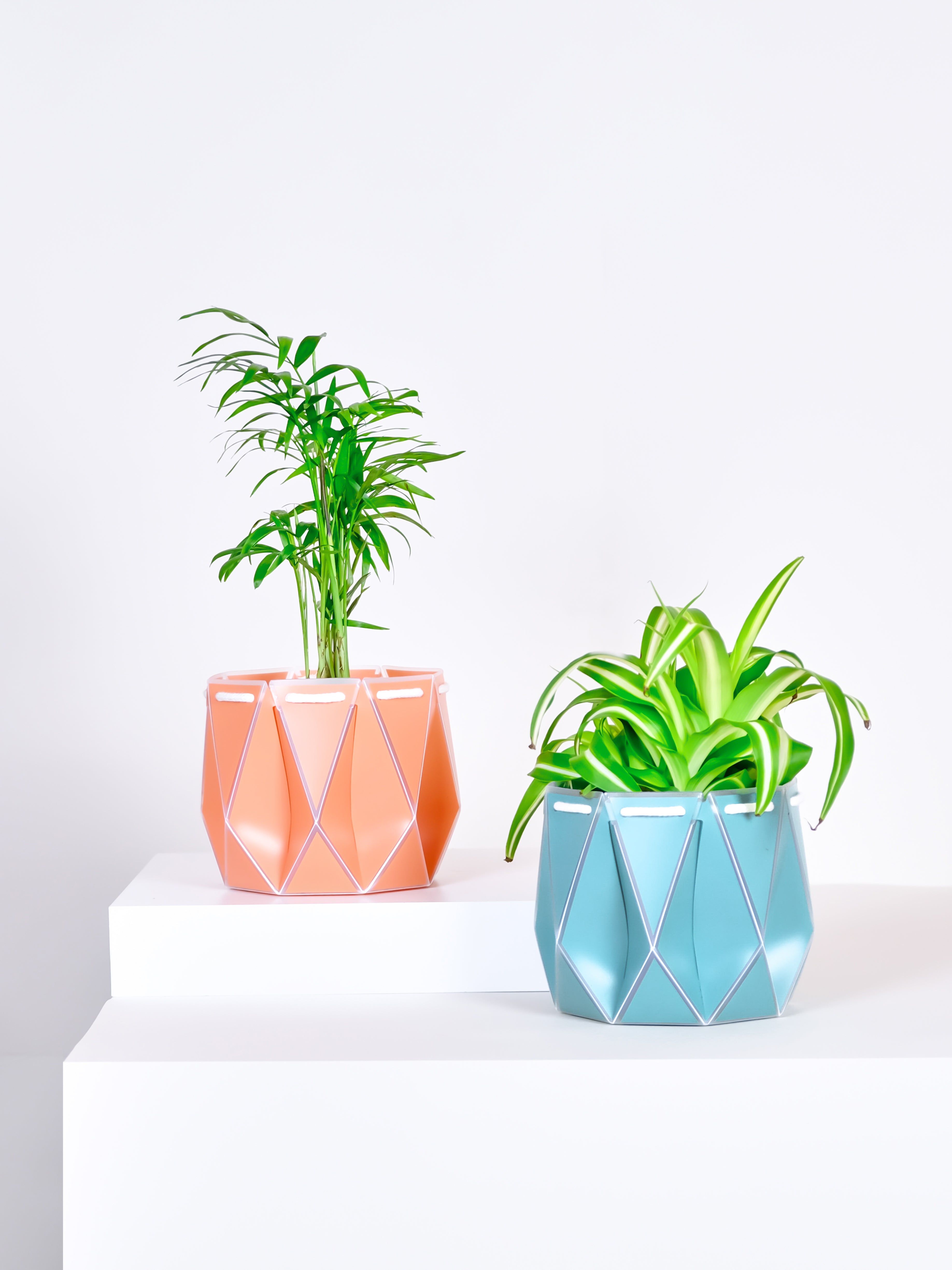 two same size pots with plants, one orange and one blue placed on a light background
