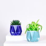 two different size pots with plants inside, one blue and one aqua, placed on a light background