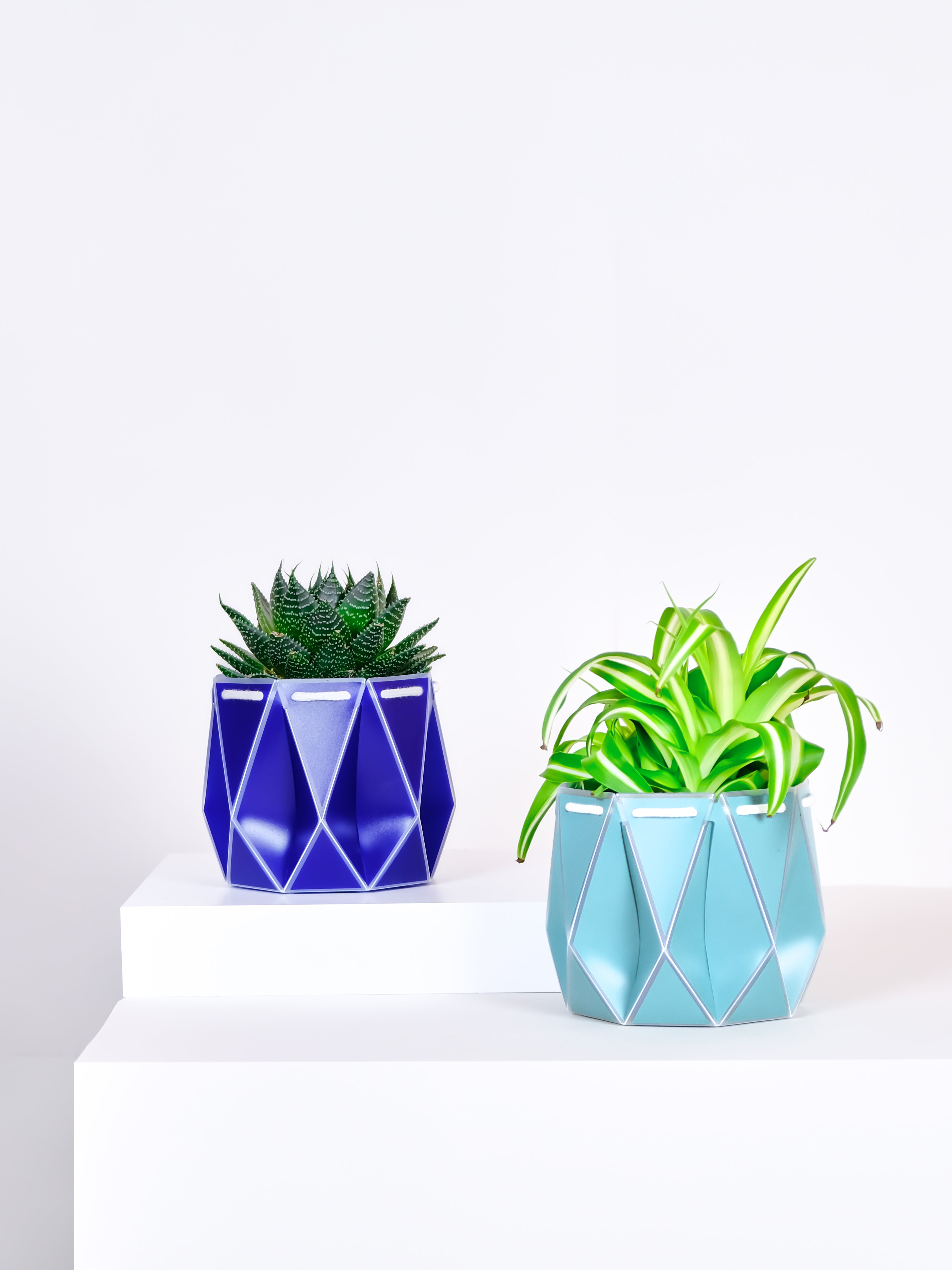 two different size pots with plants inside, one blue and one aqua, placed on a light background