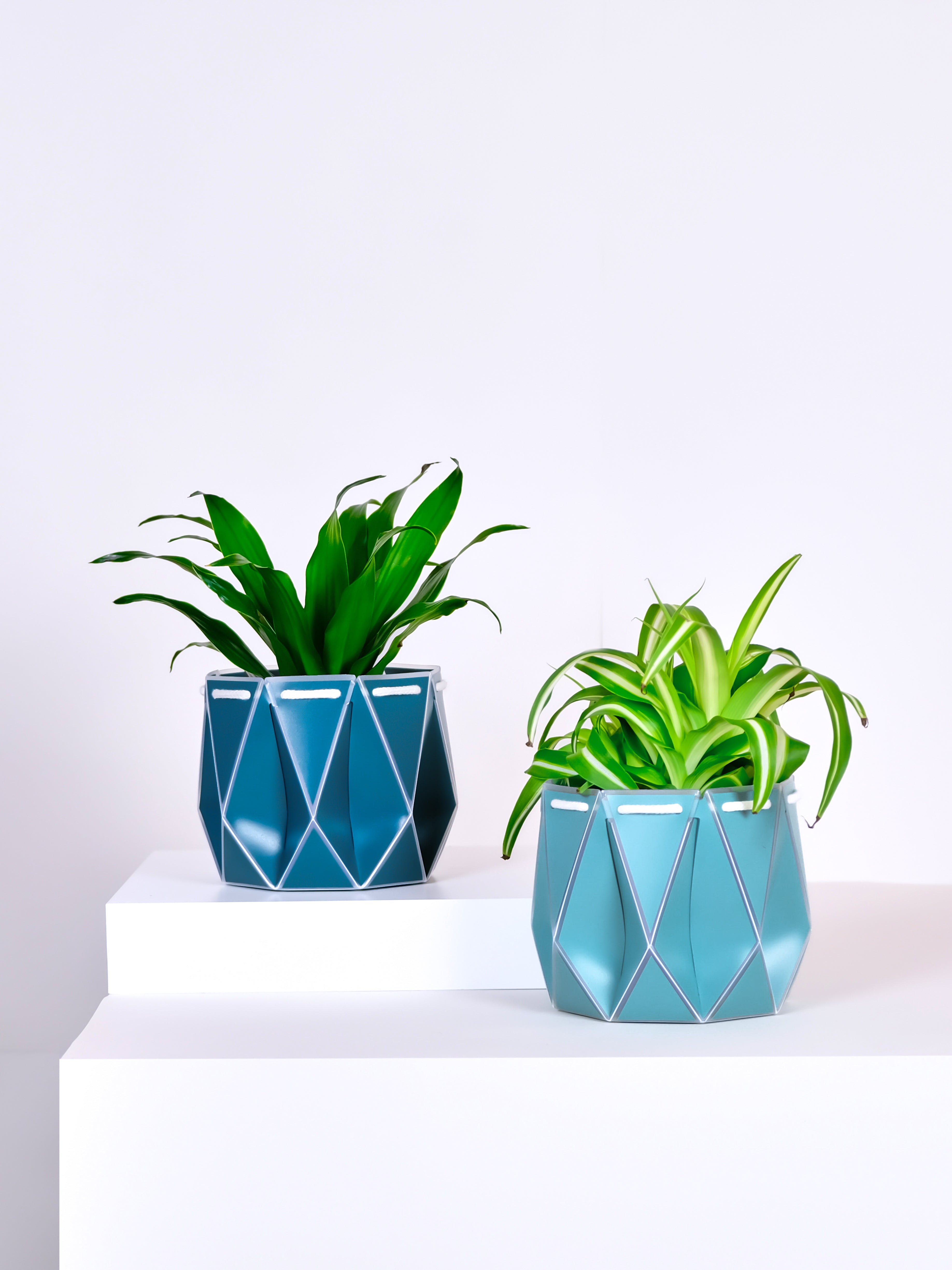 two pots with plants inside, one blue and one aqua placed on a light background