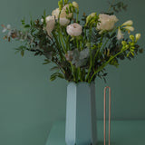 Complete Botanical Care Kit