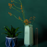 Complete Botanical Care Kit