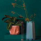 Complete Botanical Care Kit