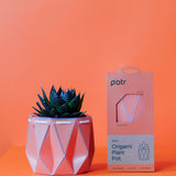 11cm Self-watering POTR Pot | Coral