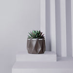 grey pot with a succulent inside placed on a light background