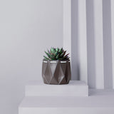 grey pot with a succulent inside placed on a light background