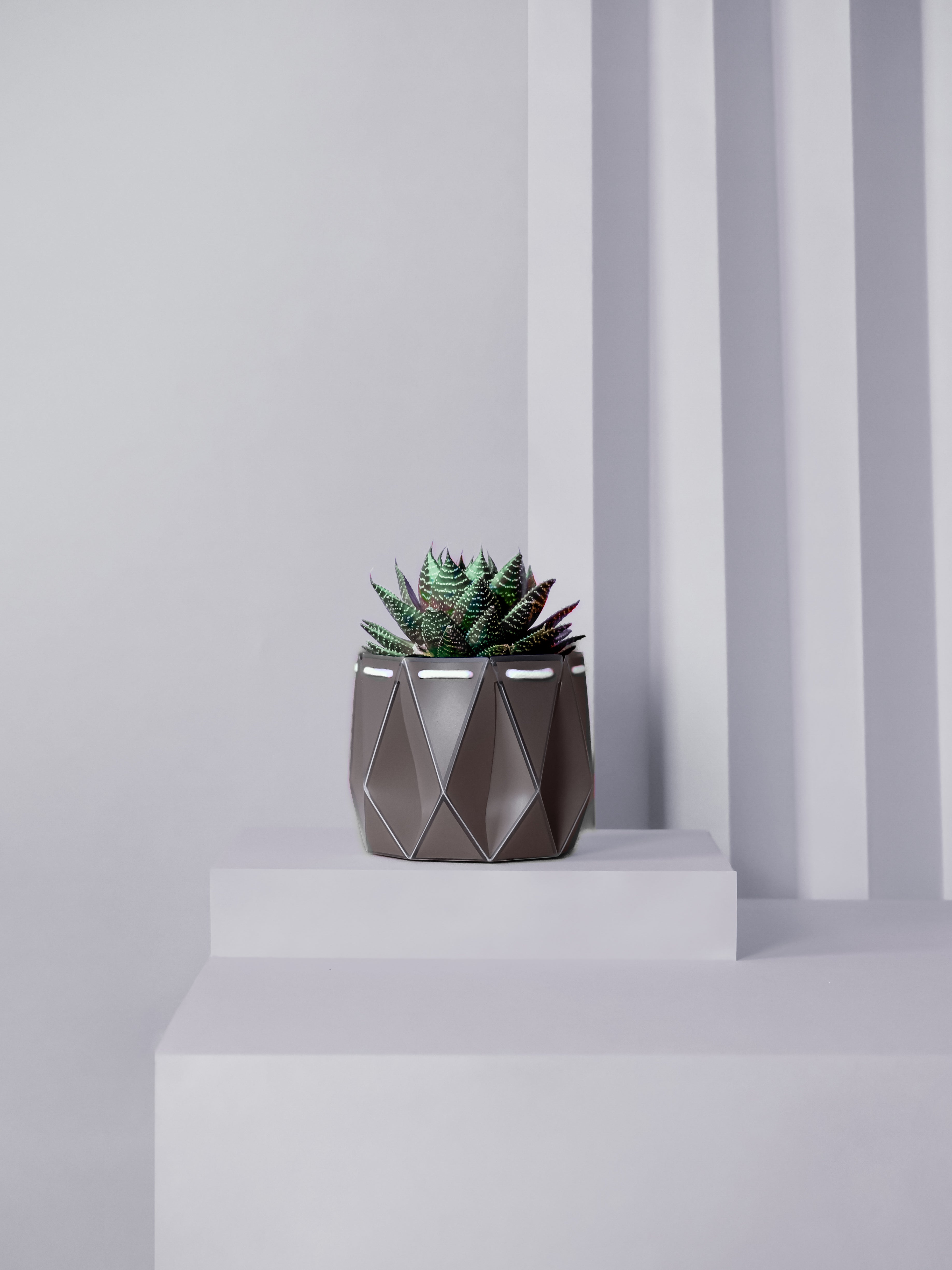 grey pot with a succulent inside placed on a light background