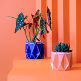 two pots with plants inside, one orange and one blue placed on an orange background