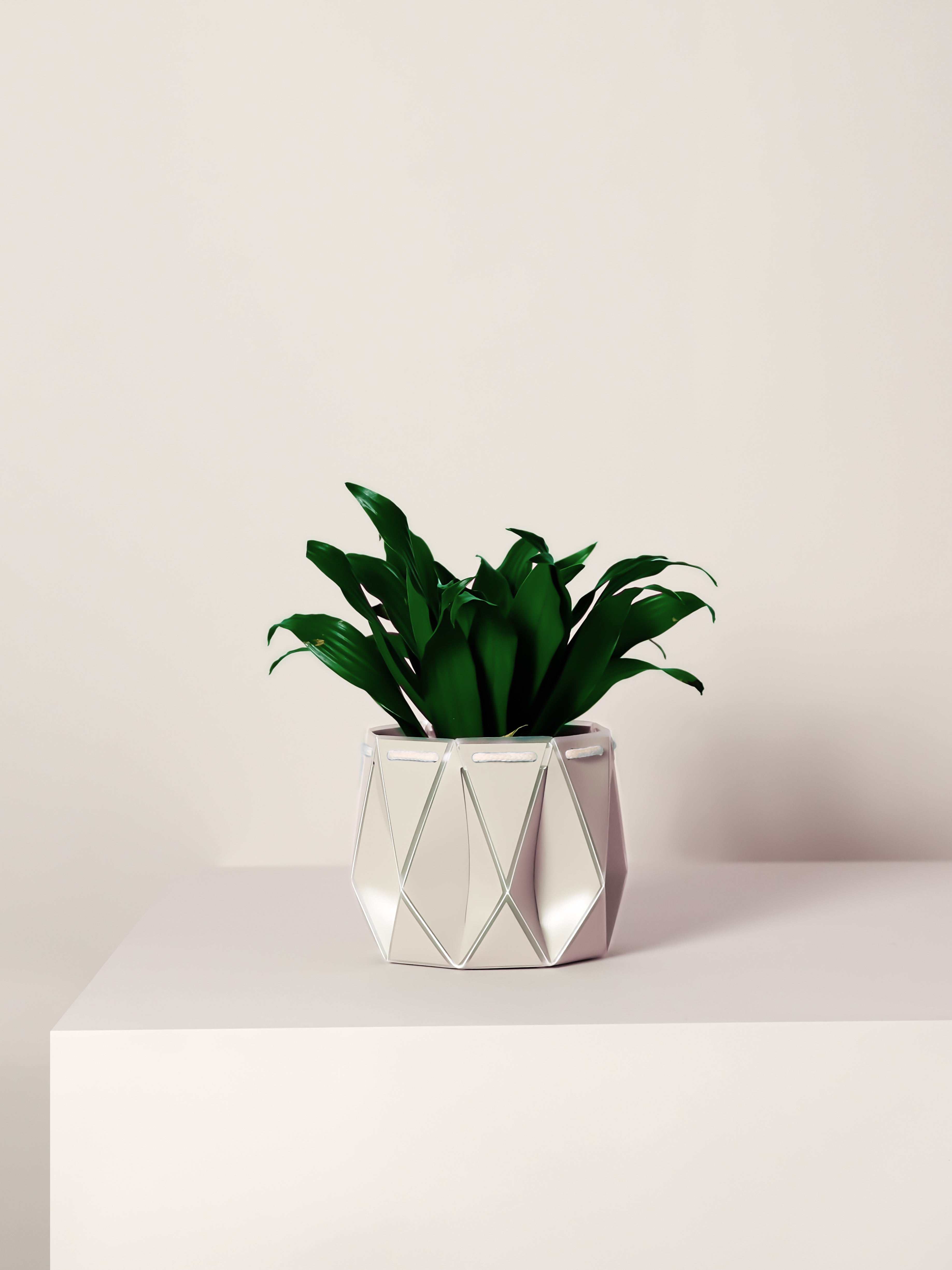 white pot with a plant on it placed on a light background