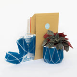 Complete Botanical Care Kit