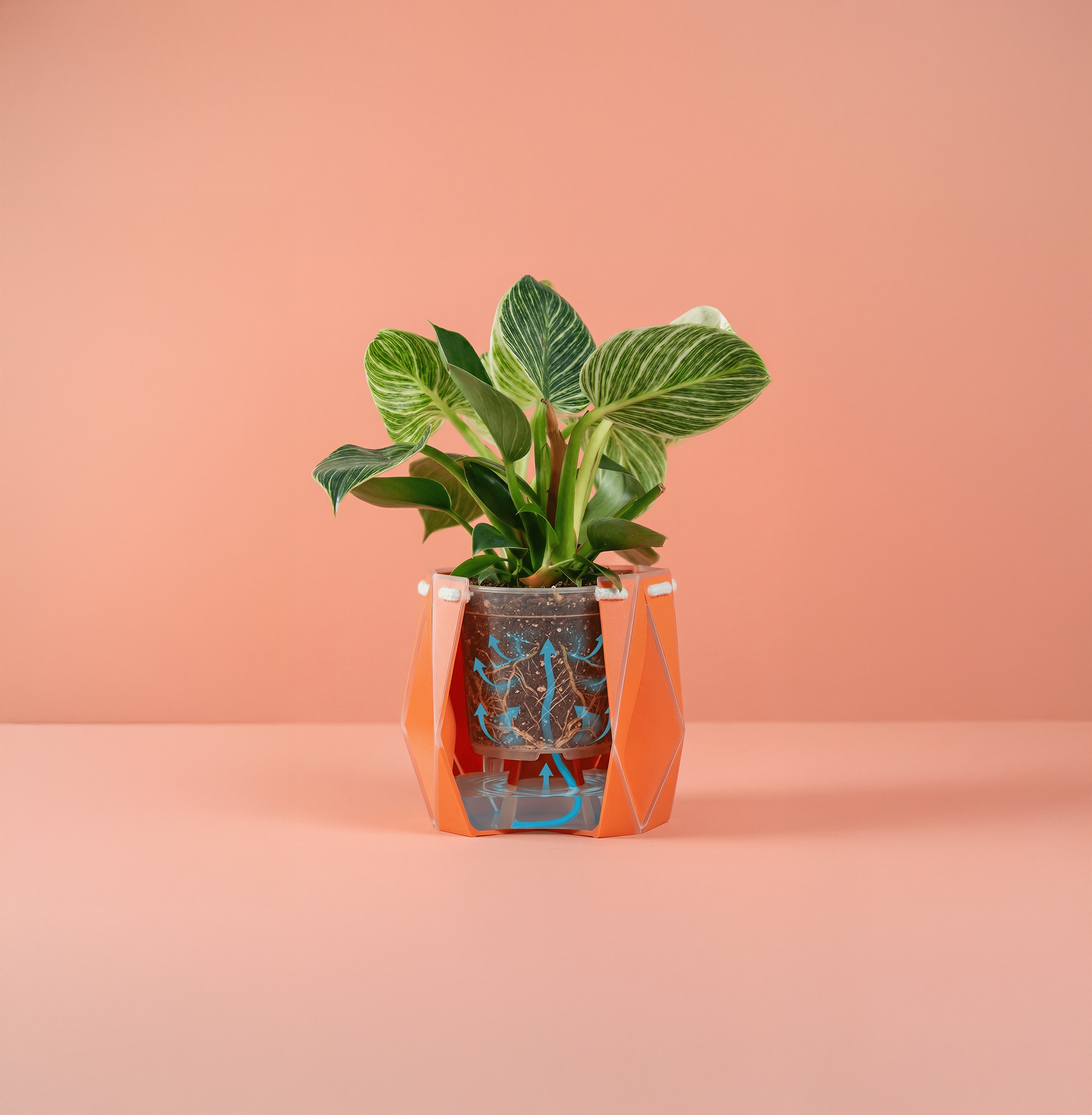 Self-Watering Innovation