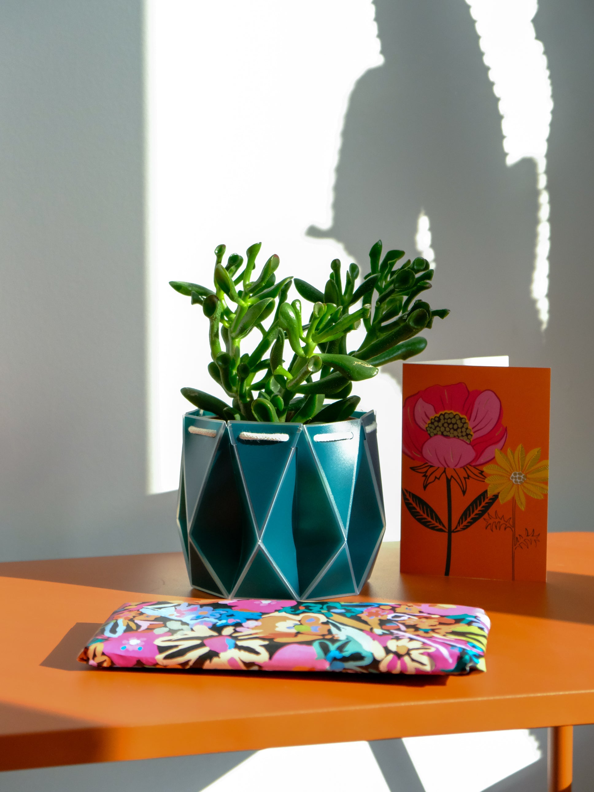 Top 10 Botanical-Inspired Letterbox Gifts for Plant Lovers