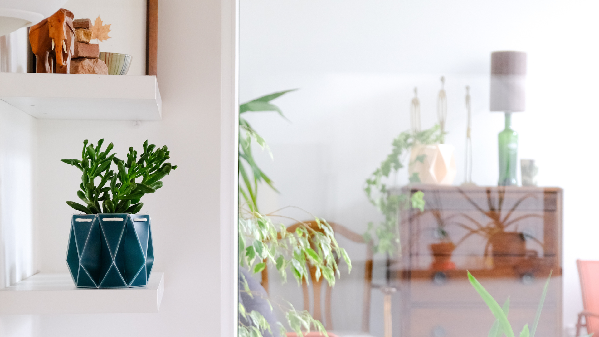 Indoor Gardening Trends for 2025: The Future of Indoor Plants