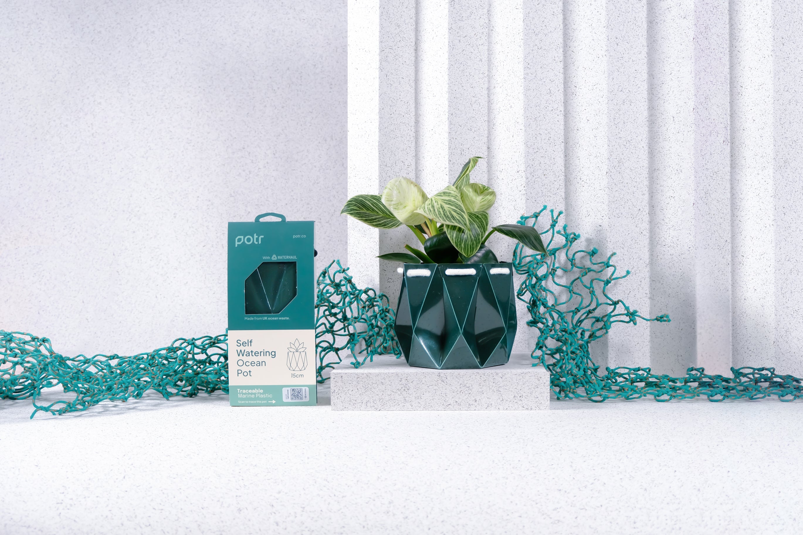 Ocean Pots
