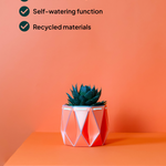11cm Coral POTR pot with a succulent on an orange pedestal. Three checkmarks list key features: letterbox delivery, self-watering functionality, and recycled materials.