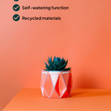 11cm Coral POTR pot with a succulent on an orange pedestal. Three checkmarks list key features: letterbox delivery, self-watering functionality, and recycled materials.