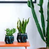 11cm Self-watering Ocean Pot | Midnight Green